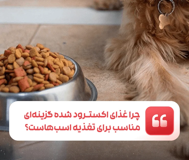 Extruded food is a suitable option for feeding horses
