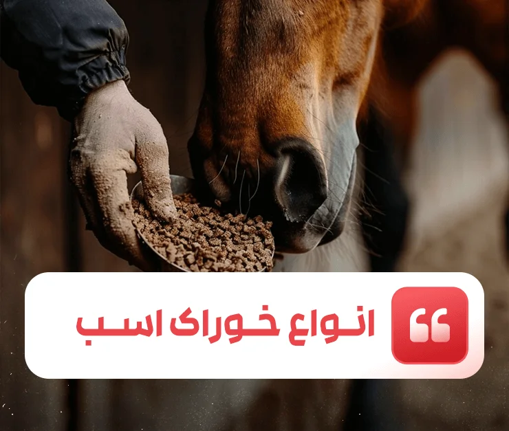 Types of horse feed