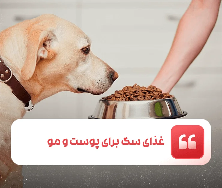 Dog food for skin and hair