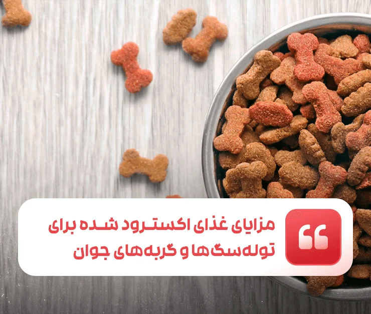 Benefits of extruded food for puppies and kittens