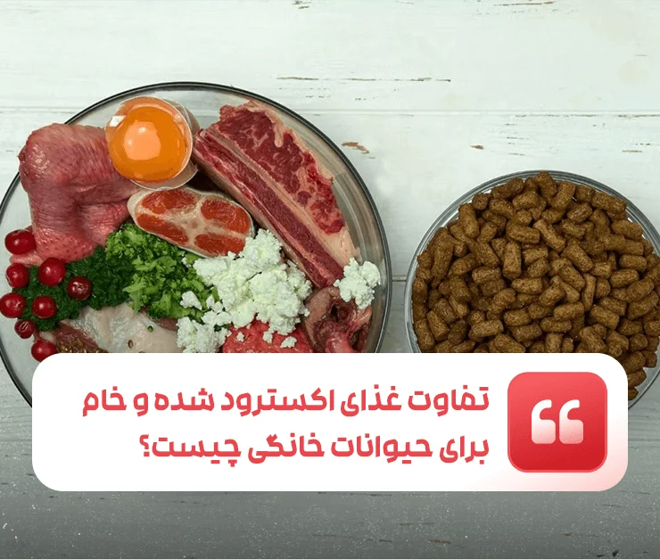 The difference between extruded food and raw food
