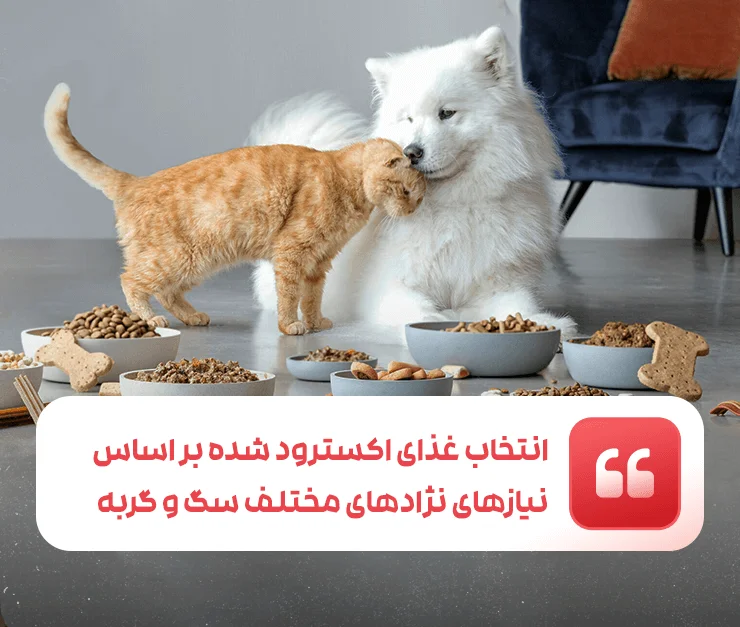 Selection of extruded food based on the special needs of different breeds of dogs and cats