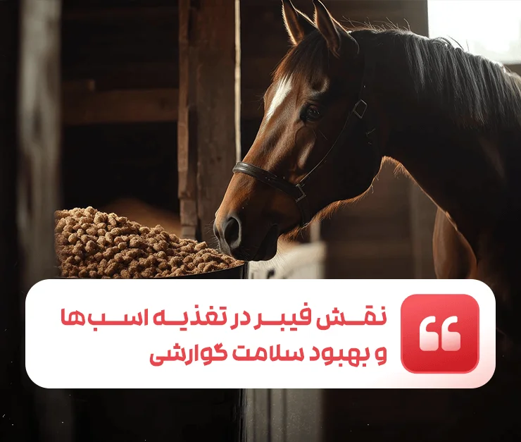 The impact of fiber in the horse's diet and digestive health