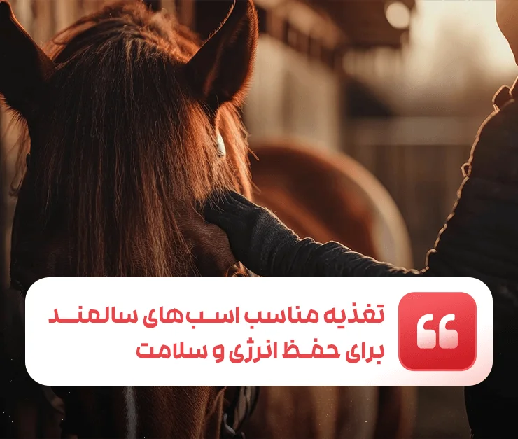 Horse Senior Nutrition