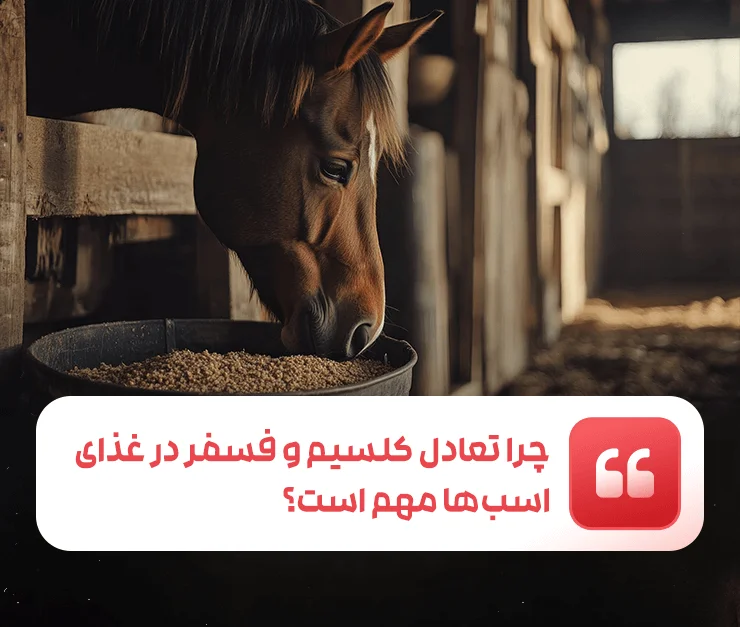 Calcium Phosphorus Horses