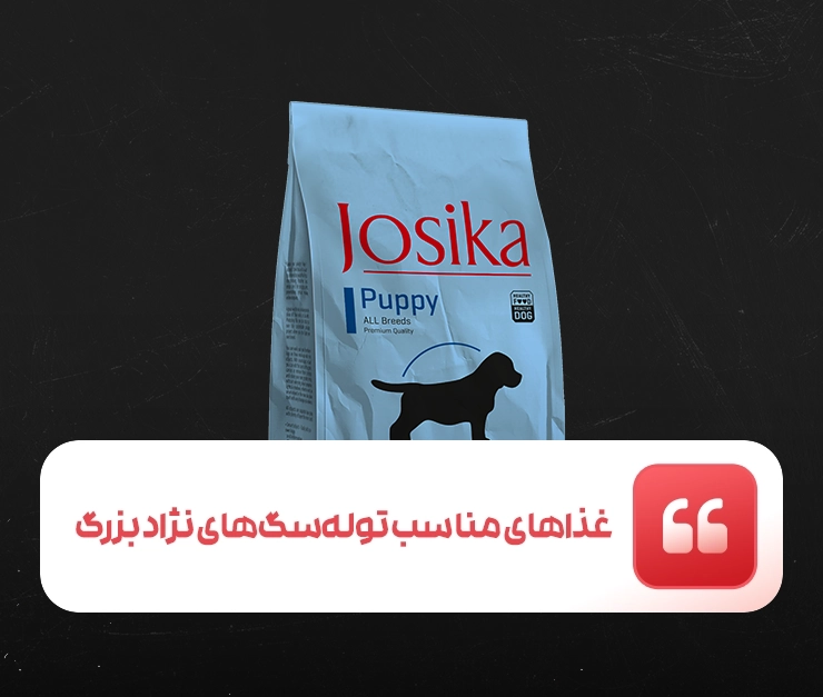 Large Breed Puppy Nutrition