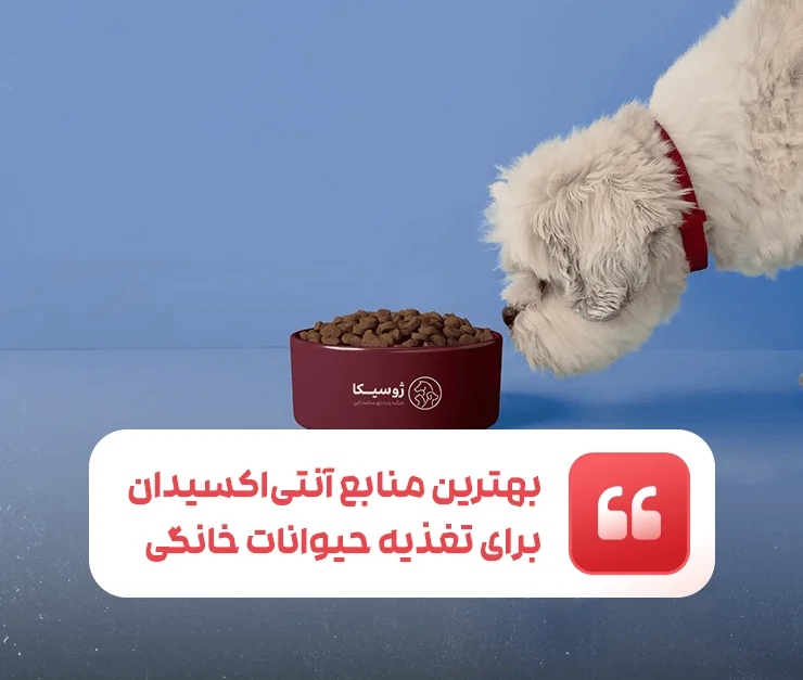 Pet Antioxidants