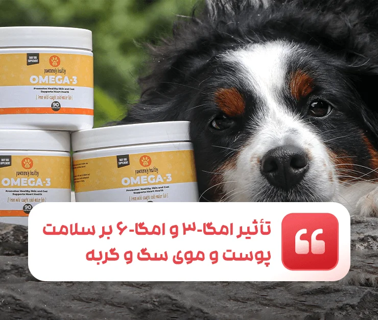 The effect of omega-3 and omega-6 on the health of the skin and hair of dogs and cats