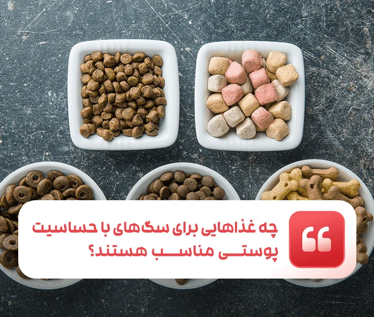 What foods are suitable for dogs with skin allergies?