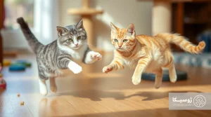 The best diet for active cats