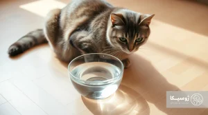 Water in the nutrition and health of cats
