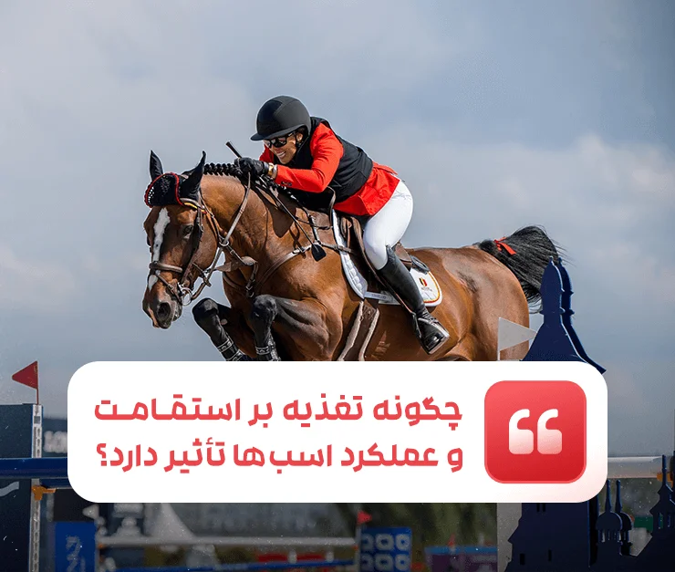 How does nutrition affect the endurance and performance of horses?