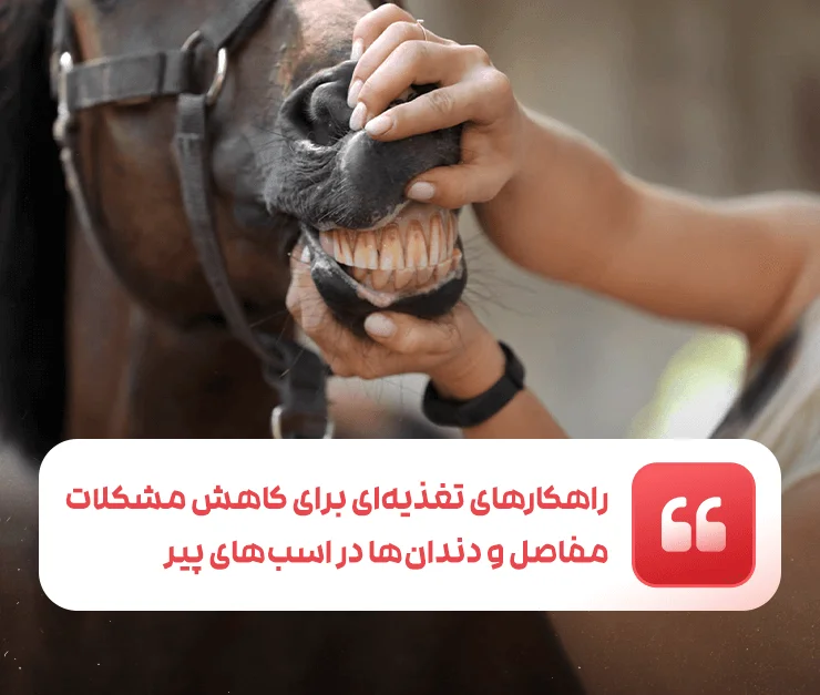 Nutritional strategies to reduce joint and dental problems in older horses