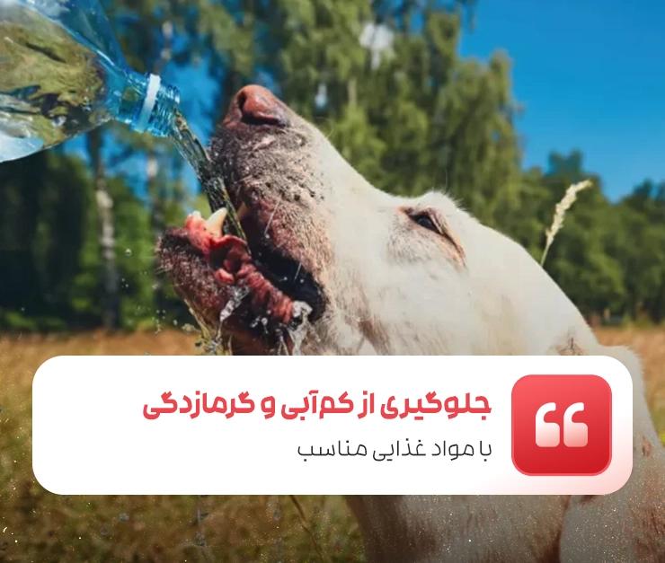 جلوگیری از کم‌آبی و گرمازدگی با مواد غذایی مناسب